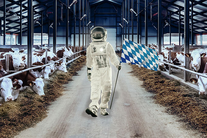 Astronaut im Kuhstall