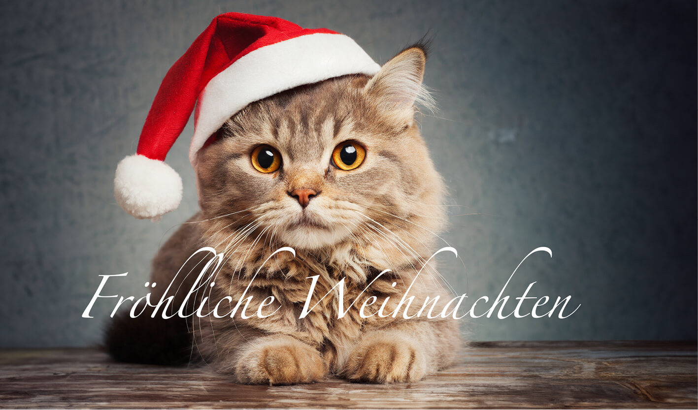 Die Kunst, intelligent Weihnachten zu feiern